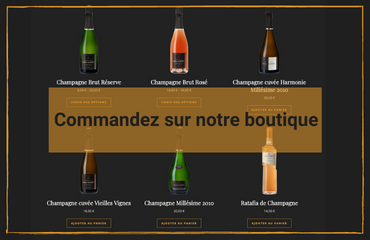 Commande Champagne Jérôme Robert Sainte Gemme