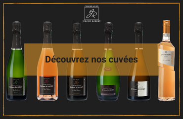 Cuvées Champagne Jérôme Robert Sainte Gemme